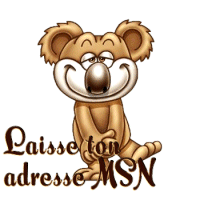 Laisse ton adresse msn