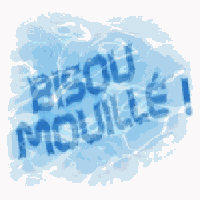 Bisous ...