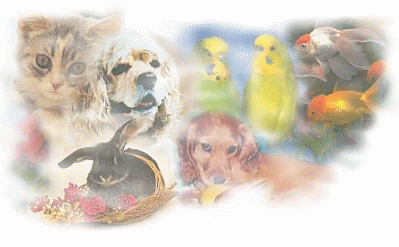 Kel est ton animal prefere?