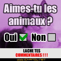 Aime tu lé animaux?