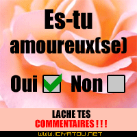 Es-tu amourex(se)
